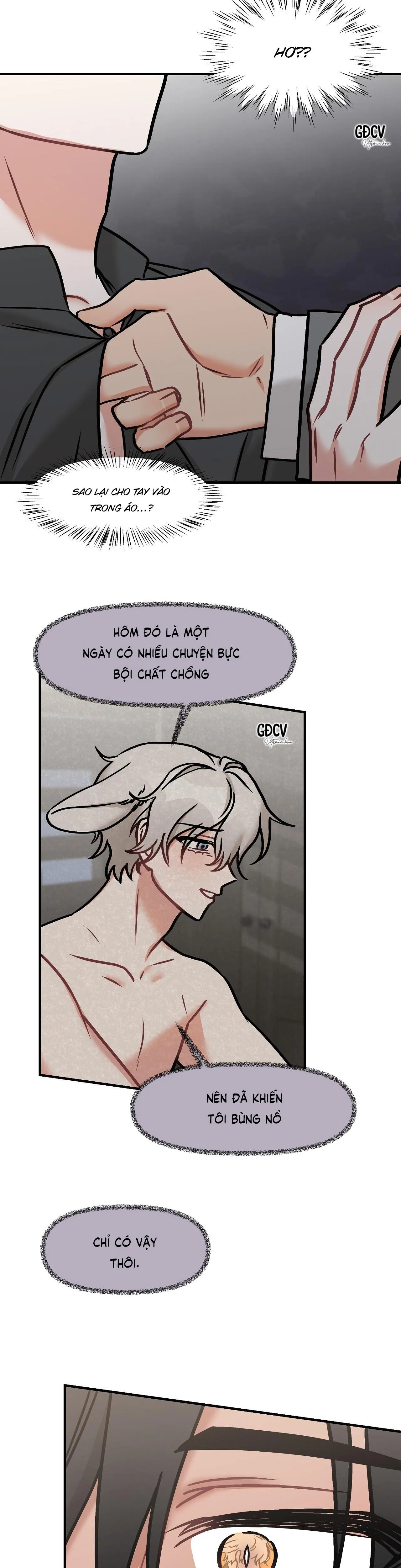 THƯA NGÀI HỔ, TÔI ĐÃ ĂN RẤT NGON MIỆNG Chapter 15 Trang 17