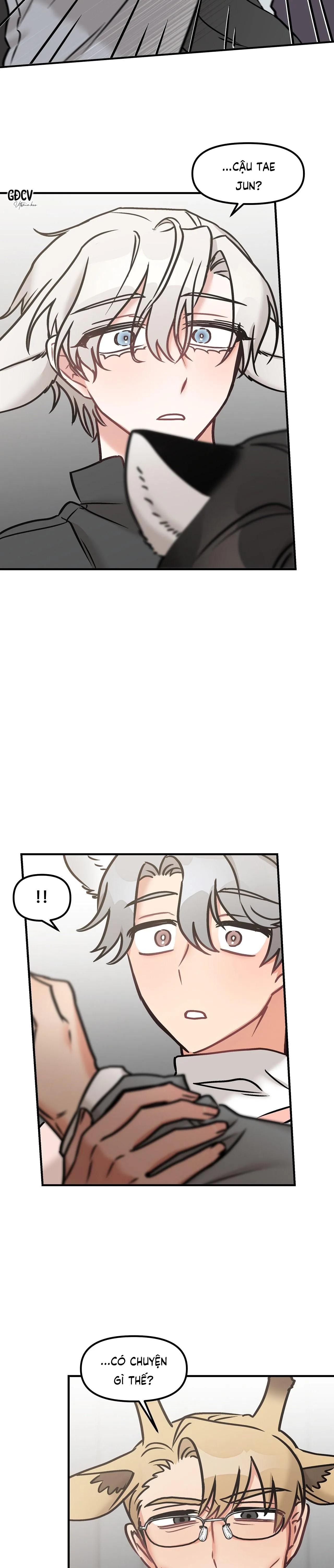 THƯA NGÀI HỔ, TÔI ĐÃ ĂN RẤT NGON MIỆNG Chapter 15 Trang 20