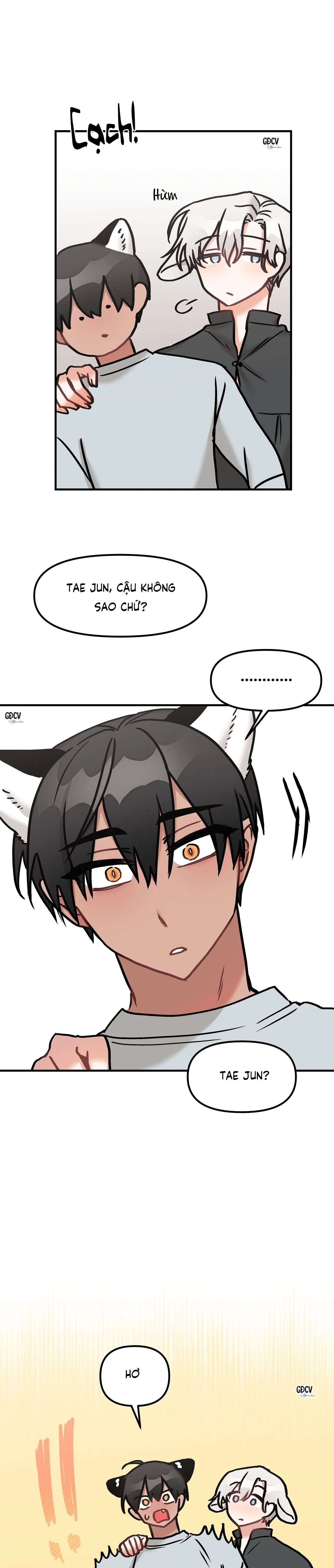 THƯA NGÀI HỔ, TÔI ĐÃ ĂN RẤT NGON MIỆNG Chapter 16 Trang 5