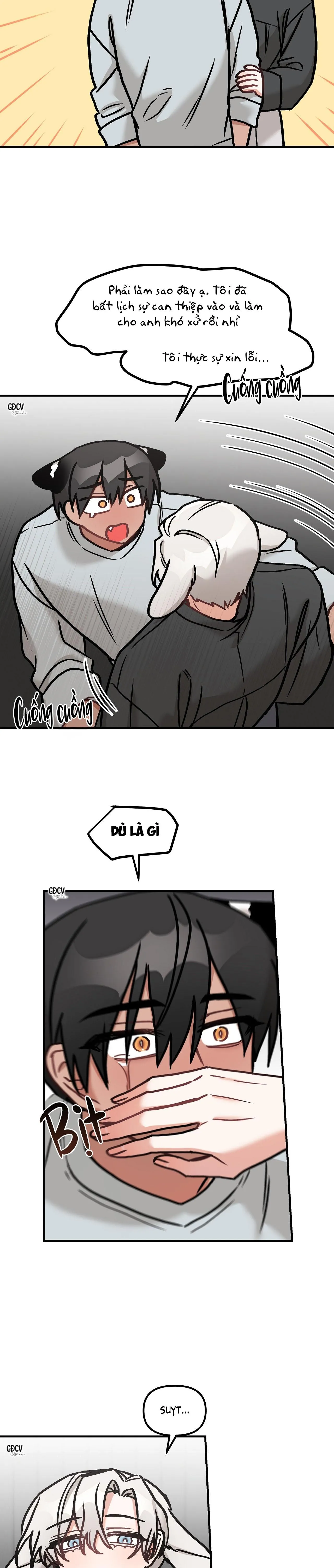 THƯA NGÀI HỔ, TÔI ĐÃ ĂN RẤT NGON MIỆNG Chapter 16 Trang 6