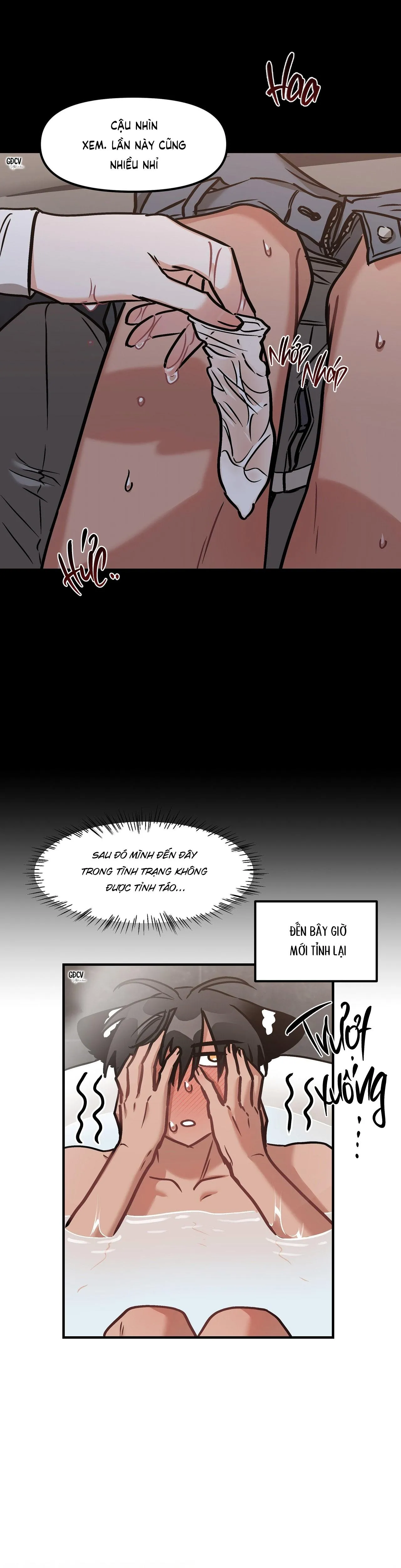 THƯA NGÀI HỔ, TÔI ĐÃ ĂN RẤT NGON MIỆNG Chapter 19 Trang 12