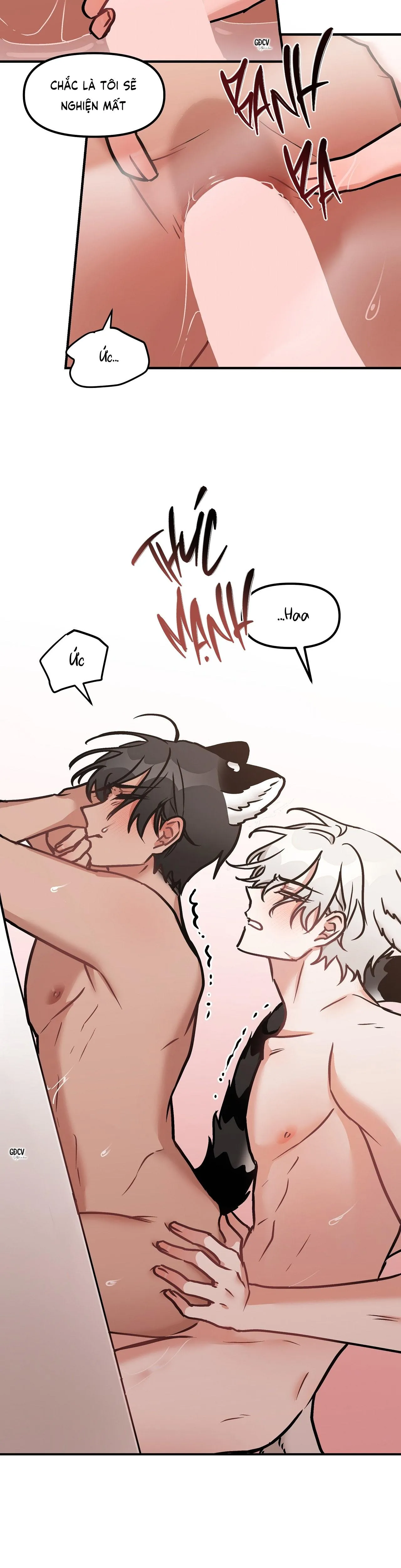 THƯA NGÀI HỔ, TÔI ĐÃ ĂN RẤT NGON MIỆNG Chapter 19 Trang 22