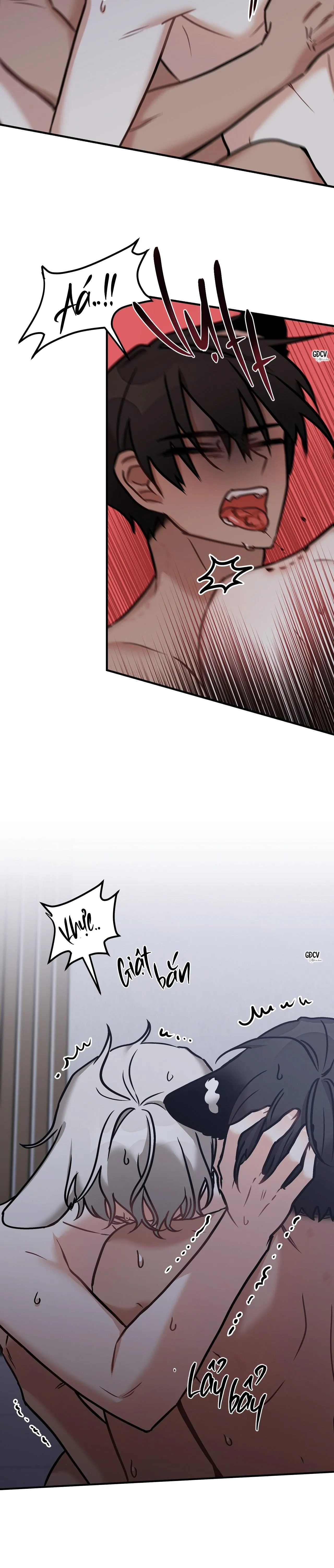 THƯA NGÀI HỔ, TÔI ĐÃ ĂN RẤT NGON MIỆNG Chapter 20 Trang 13