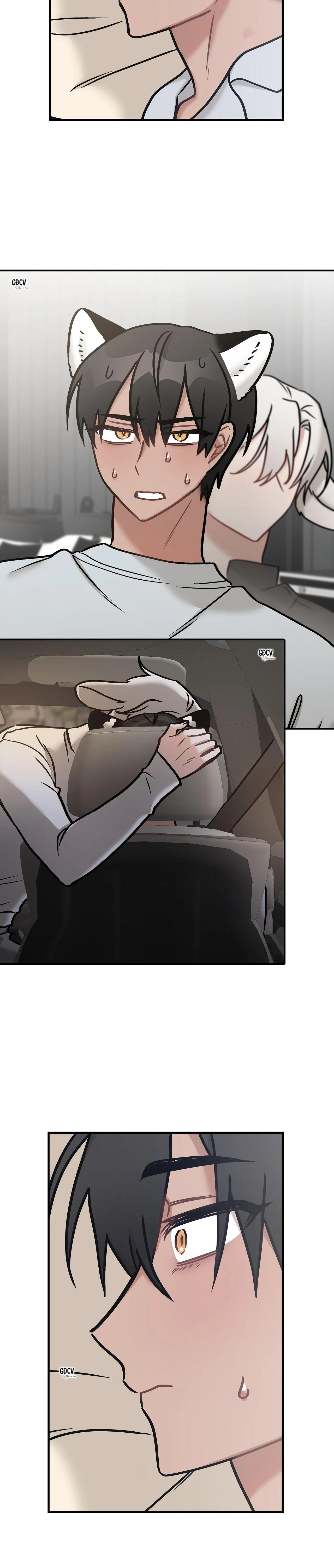 THƯA NGÀI HỔ, TÔI ĐÃ ĂN RẤT NGON MIỆNG Chapter 20 Trang 19