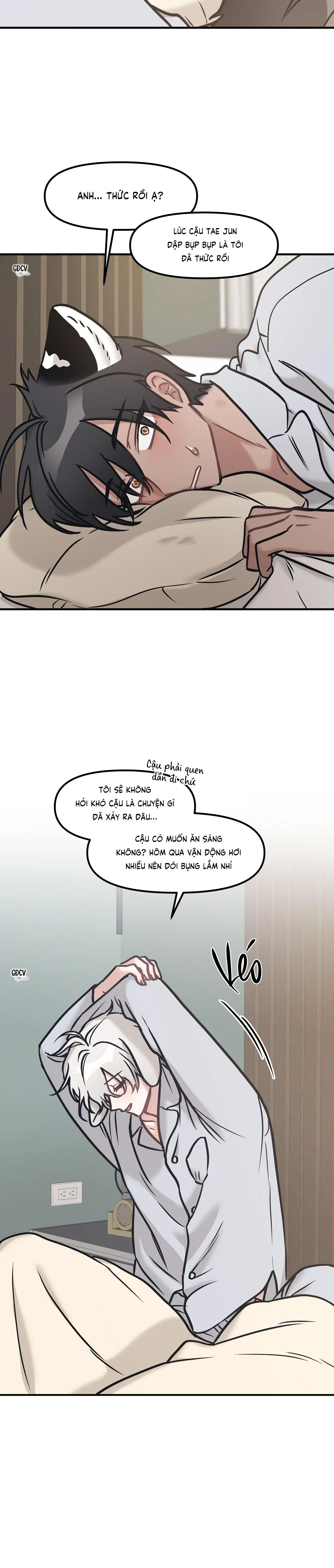 THƯA NGÀI HỔ, TÔI ĐÃ ĂN RẤT NGON MIỆNG Chapter 20 Trang 22