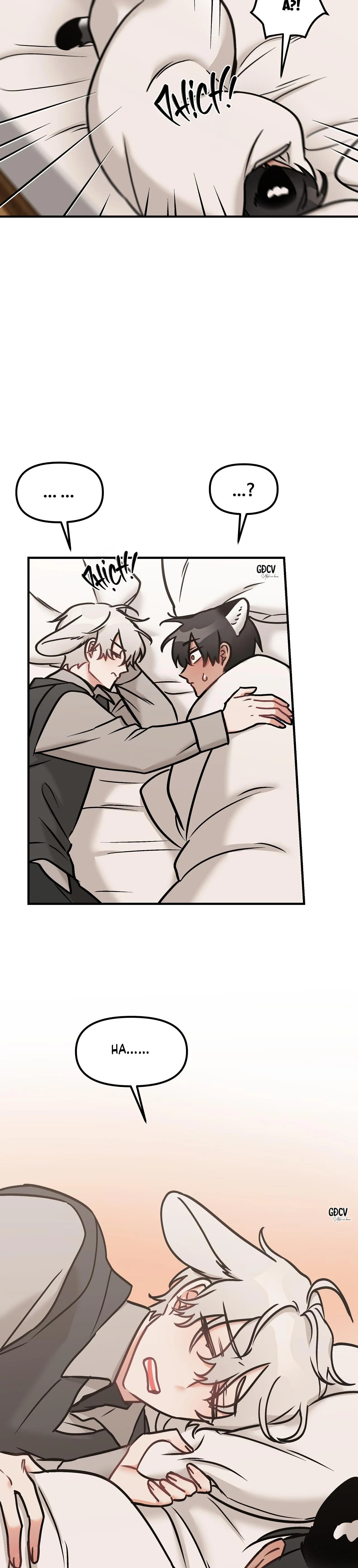 THƯA NGÀI HỔ, TÔI ĐÃ ĂN RẤT NGON MIỆNG Chapter 23 Trang 23