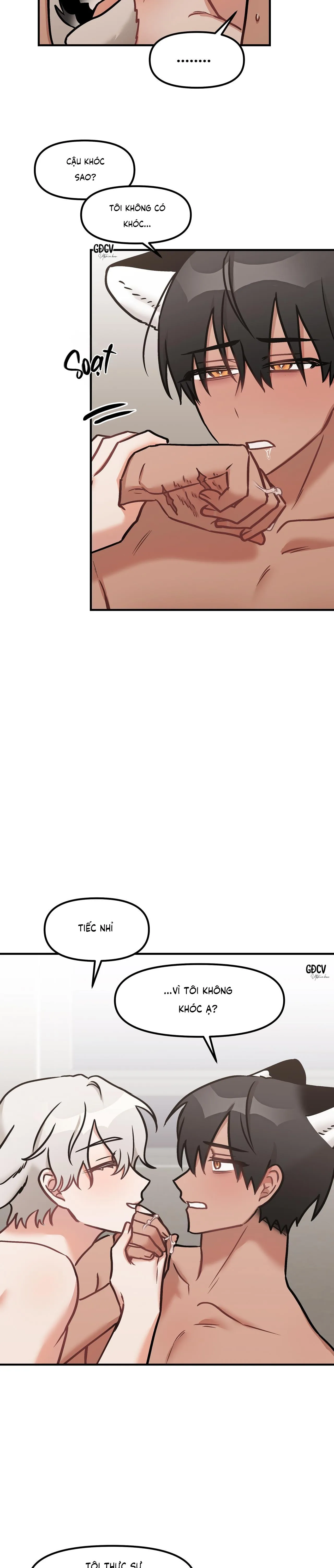 THƯA NGÀI HỔ, TÔI ĐÃ ĂN RẤT NGON MIỆNG Chapter 24 Trang 12