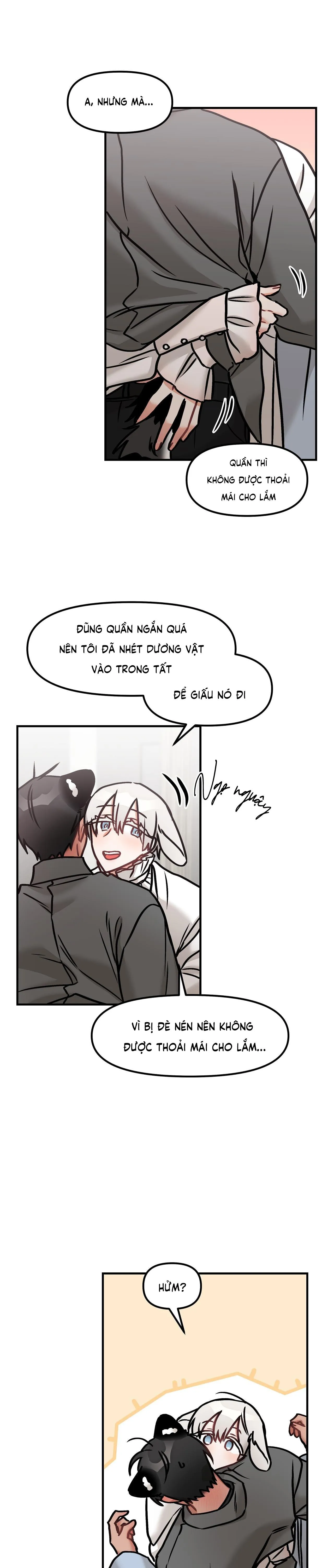 THƯA NGÀI HỔ, TÔI ĐÃ ĂN RẤT NGON MIỆNG Chapter 28 Trang 4