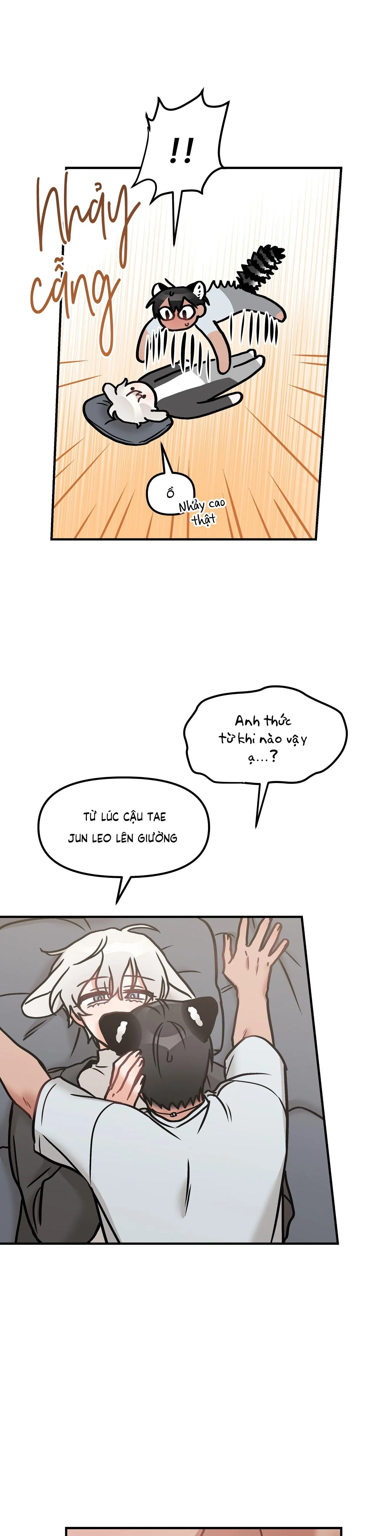 THƯA NGÀI HỔ, TÔI ĐÃ ĂN RẤT NGON MIỆNG Chapter 29 Trang 9