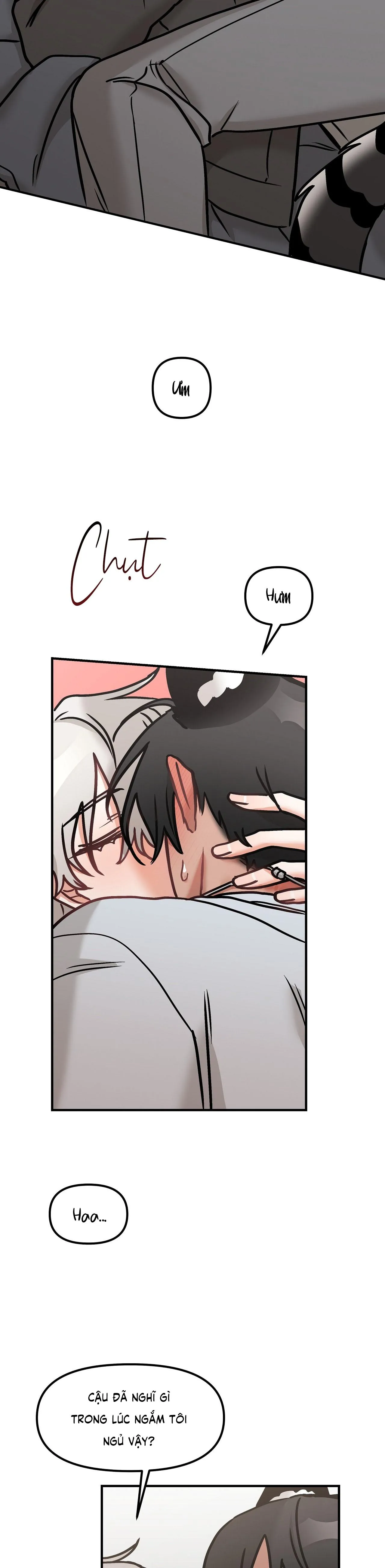 THƯA NGÀI HỔ, TÔI ĐÃ ĂN RẤT NGON MIỆNG Chapter 29 Trang 11