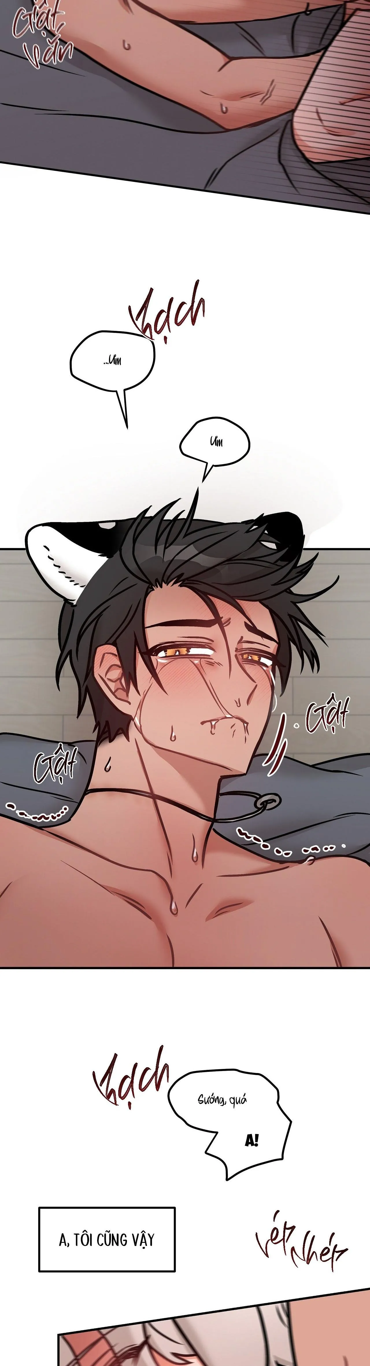 THƯA NGÀI HỔ, TÔI ĐÃ ĂN RẤT NGON MIỆNG Chapter 30 Trang 22