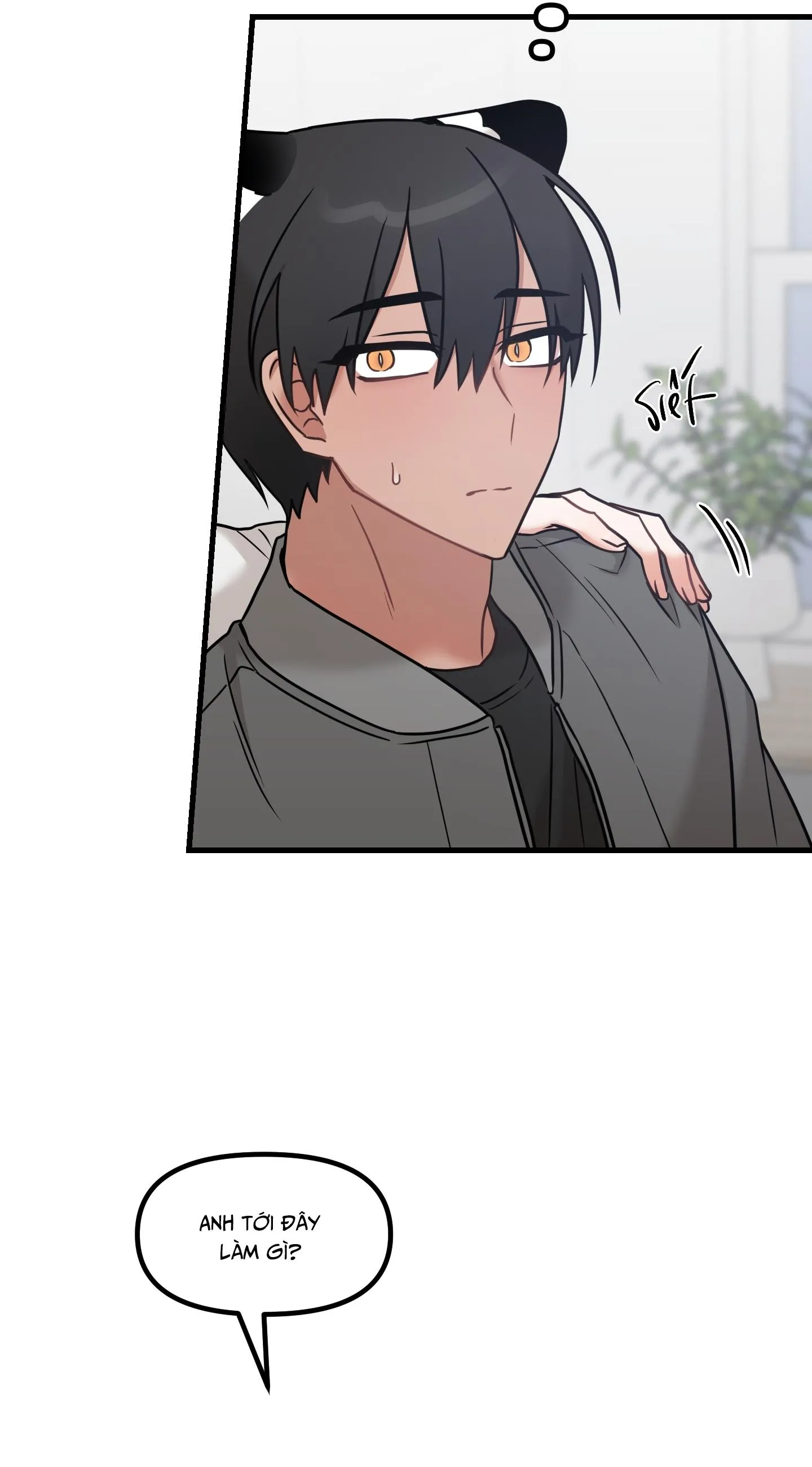 THƯA NGÀI HỔ, TÔI ĐÃ ĂN RẤT NGON MIỆNG Chapter 31 Trang 19