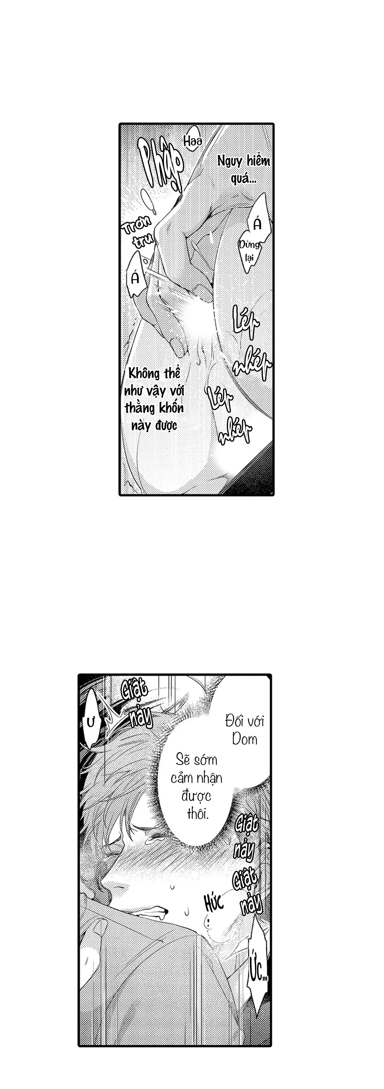 Thuần hóa chó Chapter 3 Trang 21