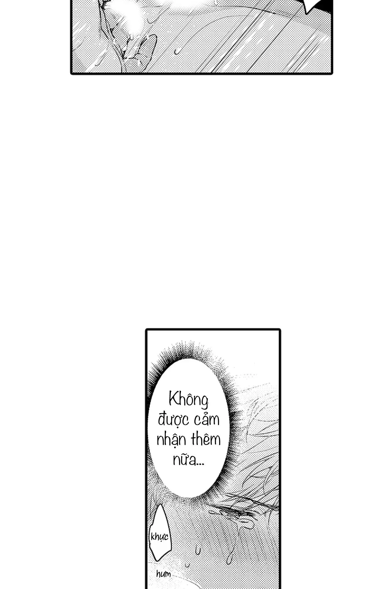 Thuần hóa chó Chapter 4 Trang 7