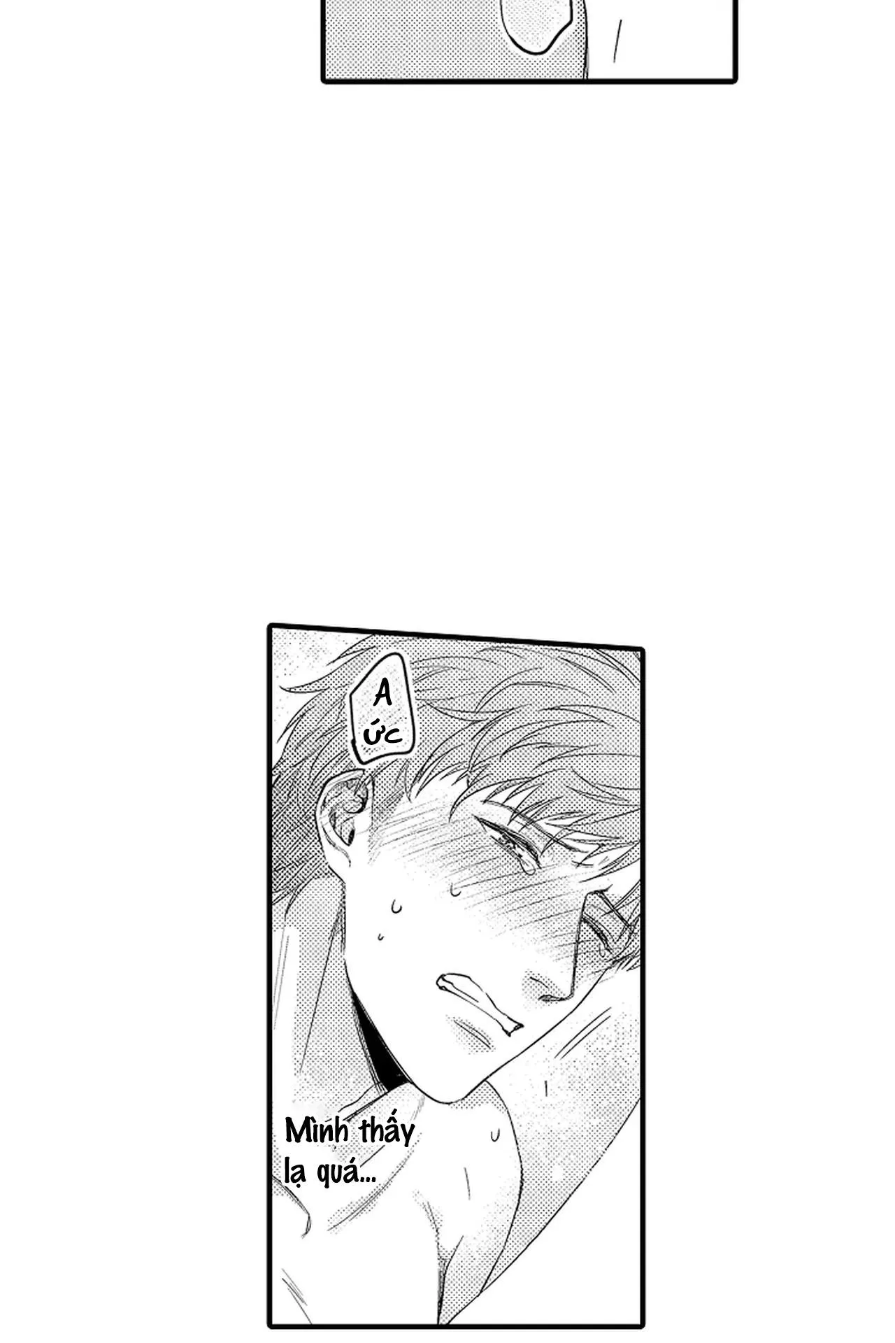 Thuần hóa chó Chapter 12 Trang 3