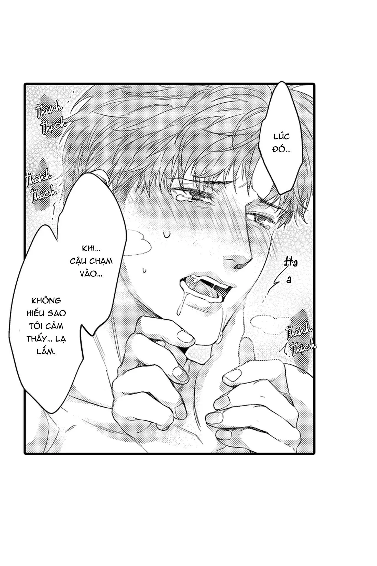 Thuần hóa chó Chapter 12 Trang 19