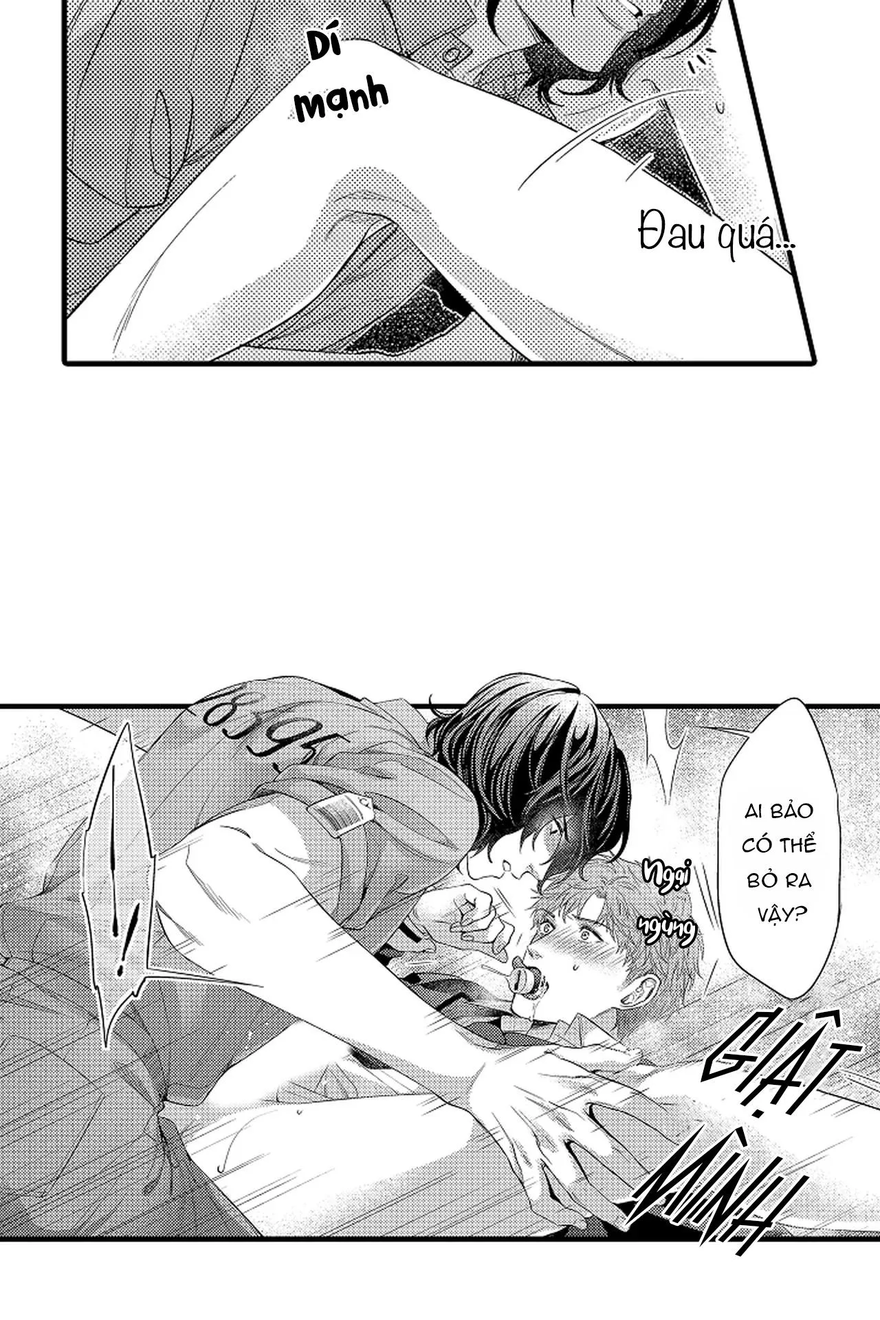 Thuần hóa chó Chapter 14 Trang 37