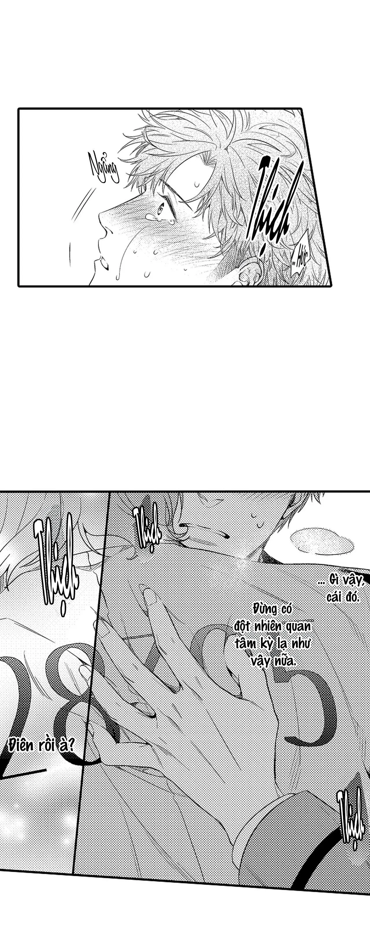 Thuần hóa chó Chapter 15 Trang 19