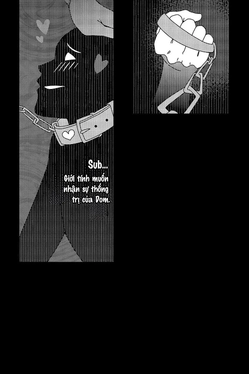 Thuần hóa chó Chapter 1 Trang 14