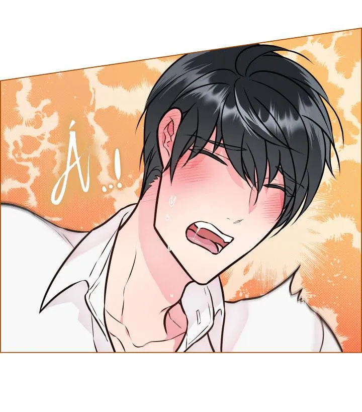 Thực Vật Trị Liệu Chapter 3 Trang 20