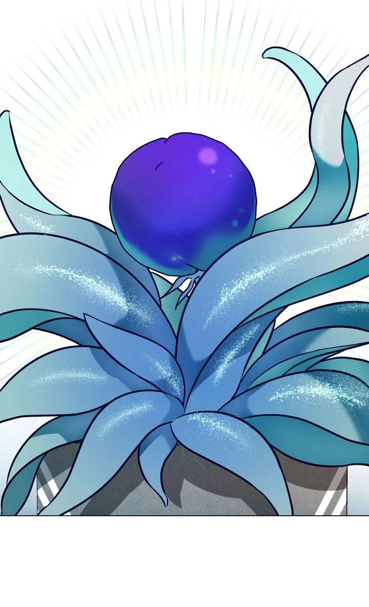 Thực Vật Trị Liệu Chapter 3 Trang 25