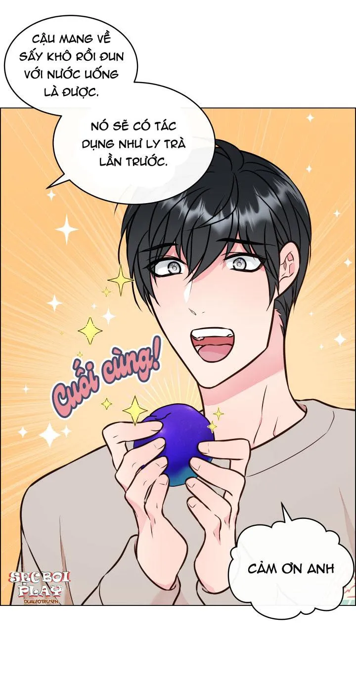 Thực Vật Trị Liệu Chapter 3 Trang 27