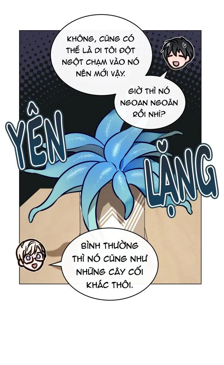 Thực Vật Trị Liệu Chapter 3 Trang 31