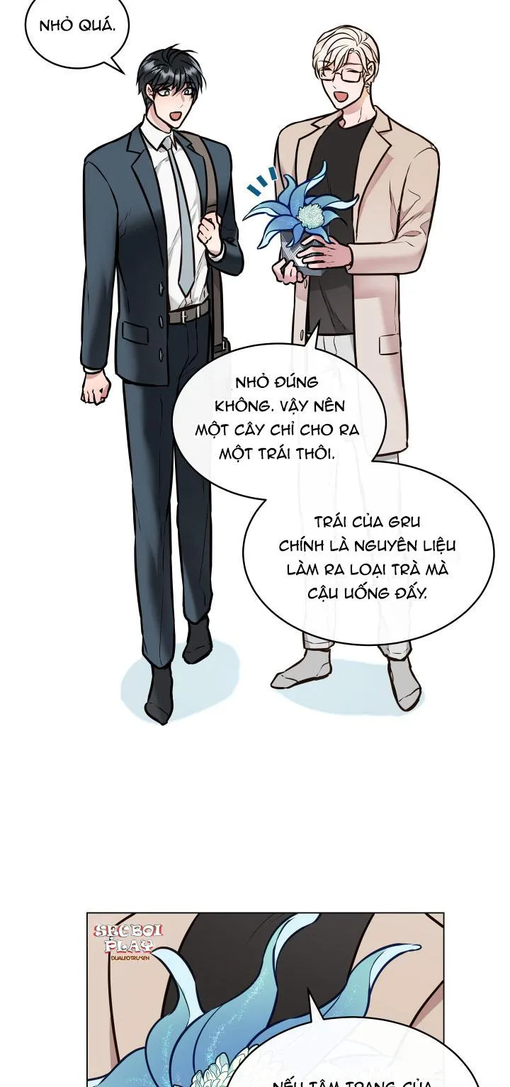 Thực Vật Trị Liệu Chapter 1 Trang 32