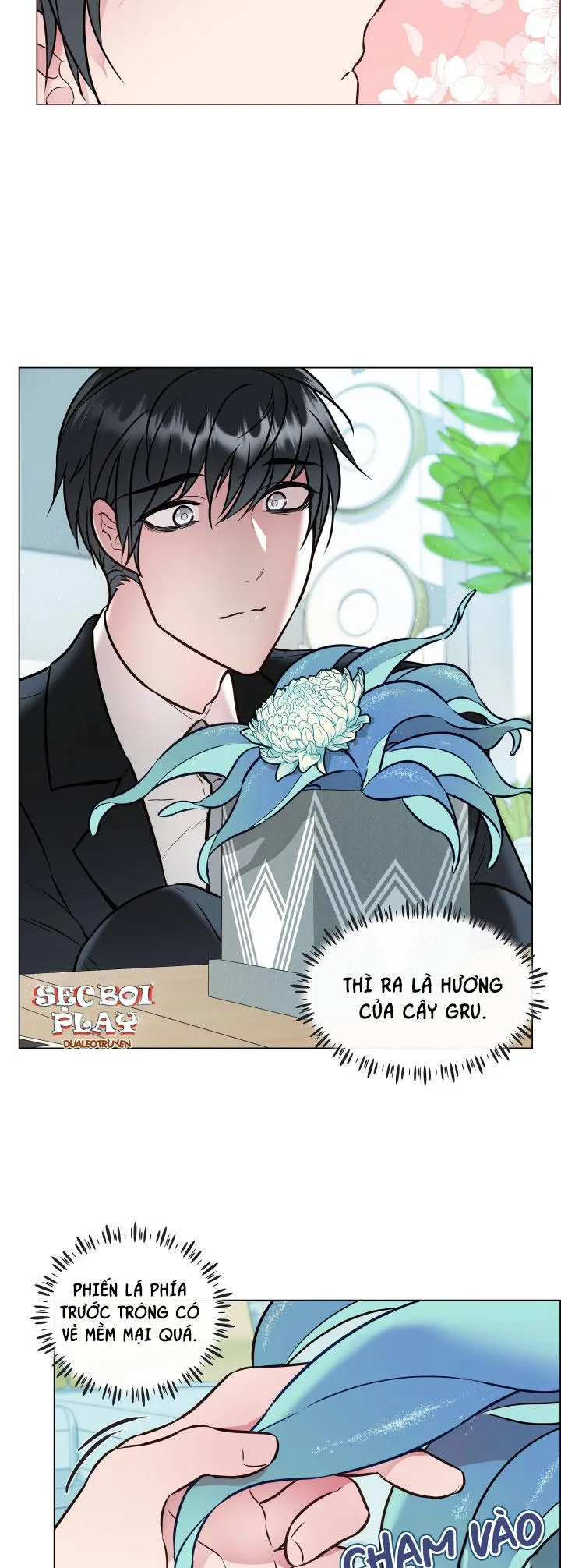 Thực Vật Trị Liệu Chapter 1 Trang 35