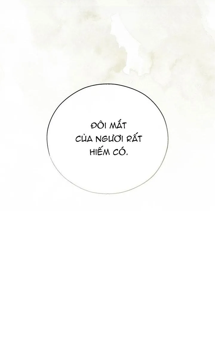 THUỐC ĐỘC Chapter 19 Trang 68