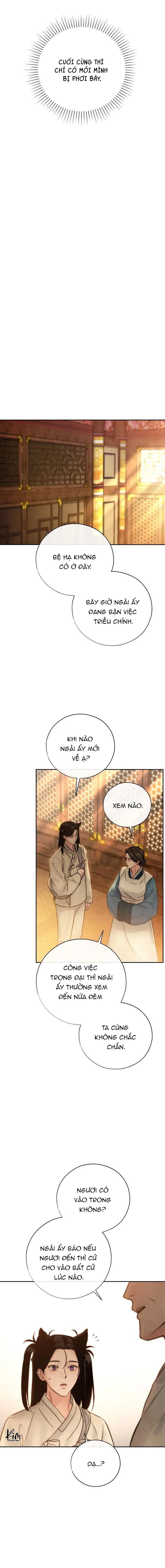 THUỐC ĐỘC Chapter 28 Trang 9