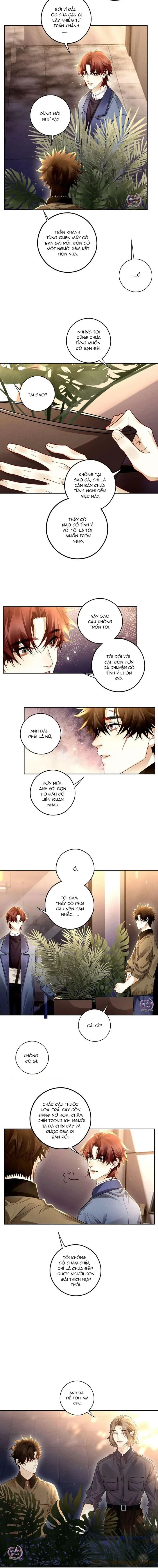 Thuốc Giải (END) Chapter 80 Trang 3