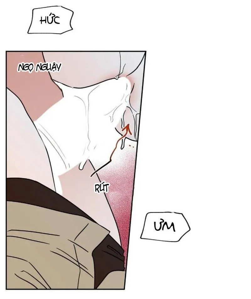 Thủy triều thấp lúc chạng vạng Chapter 27 Trang 11