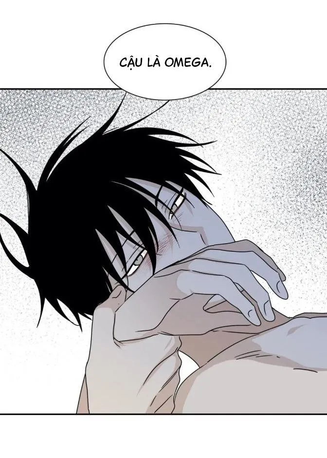 Thủy triều thấp lúc chạng vạng Chapter 29 Trang 17