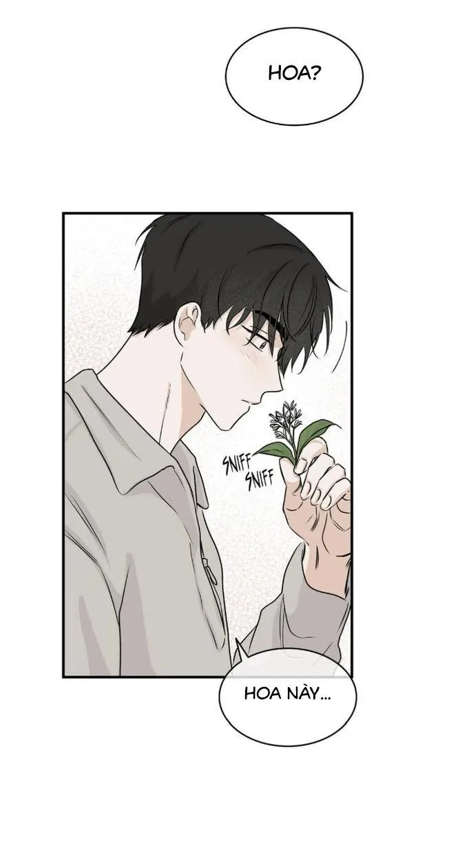 Thủy triều thấp lúc chạng vạng Chapter 35 Trang 32