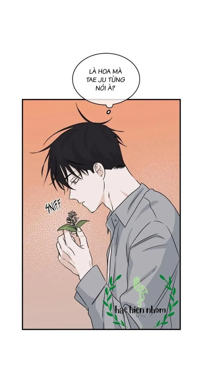 Thủy triều thấp lúc chạng vạng Chapter 35 Trang 36