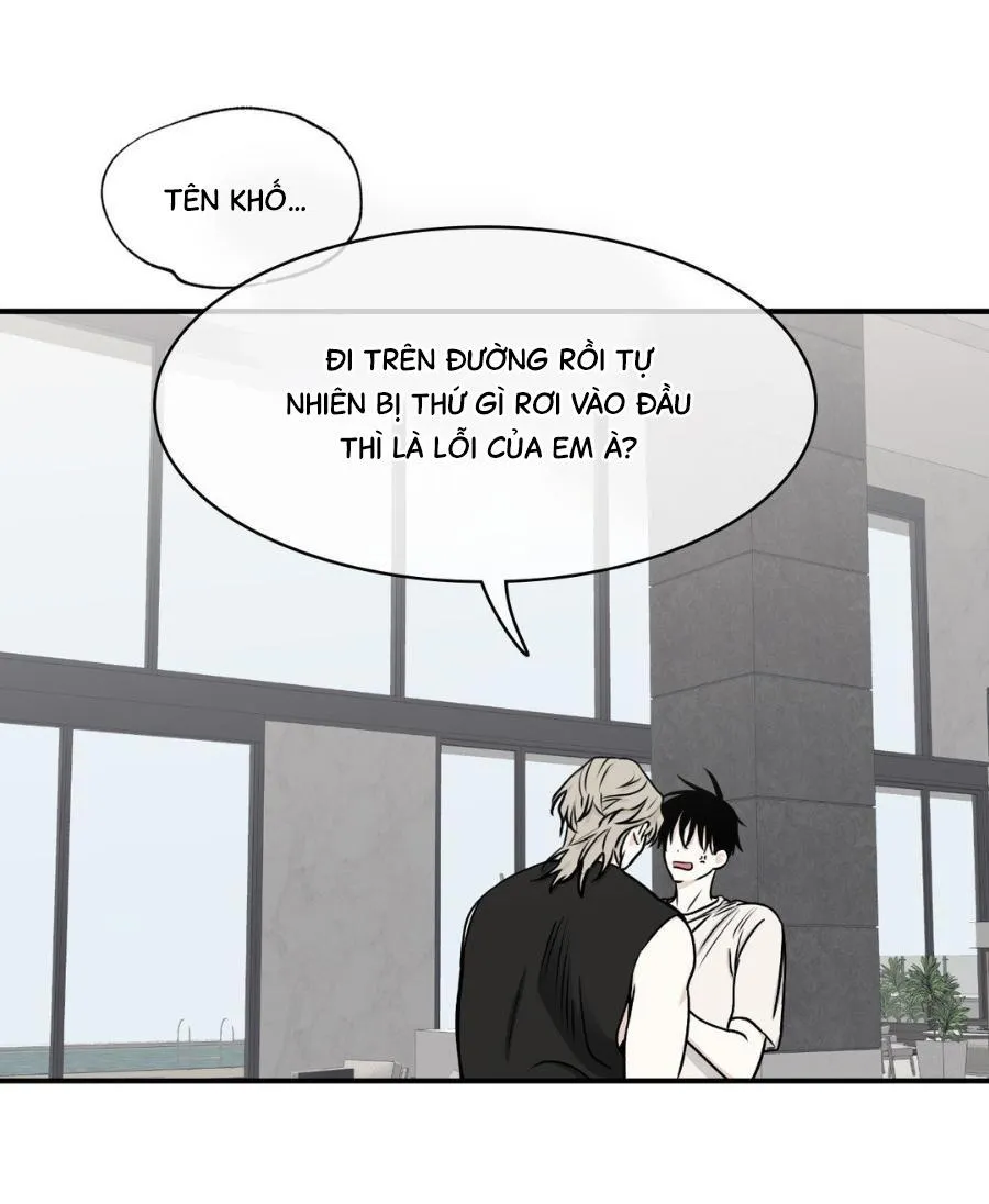 Thủy triều thấp lúc chạng vạng Chapter 66 Trang 8