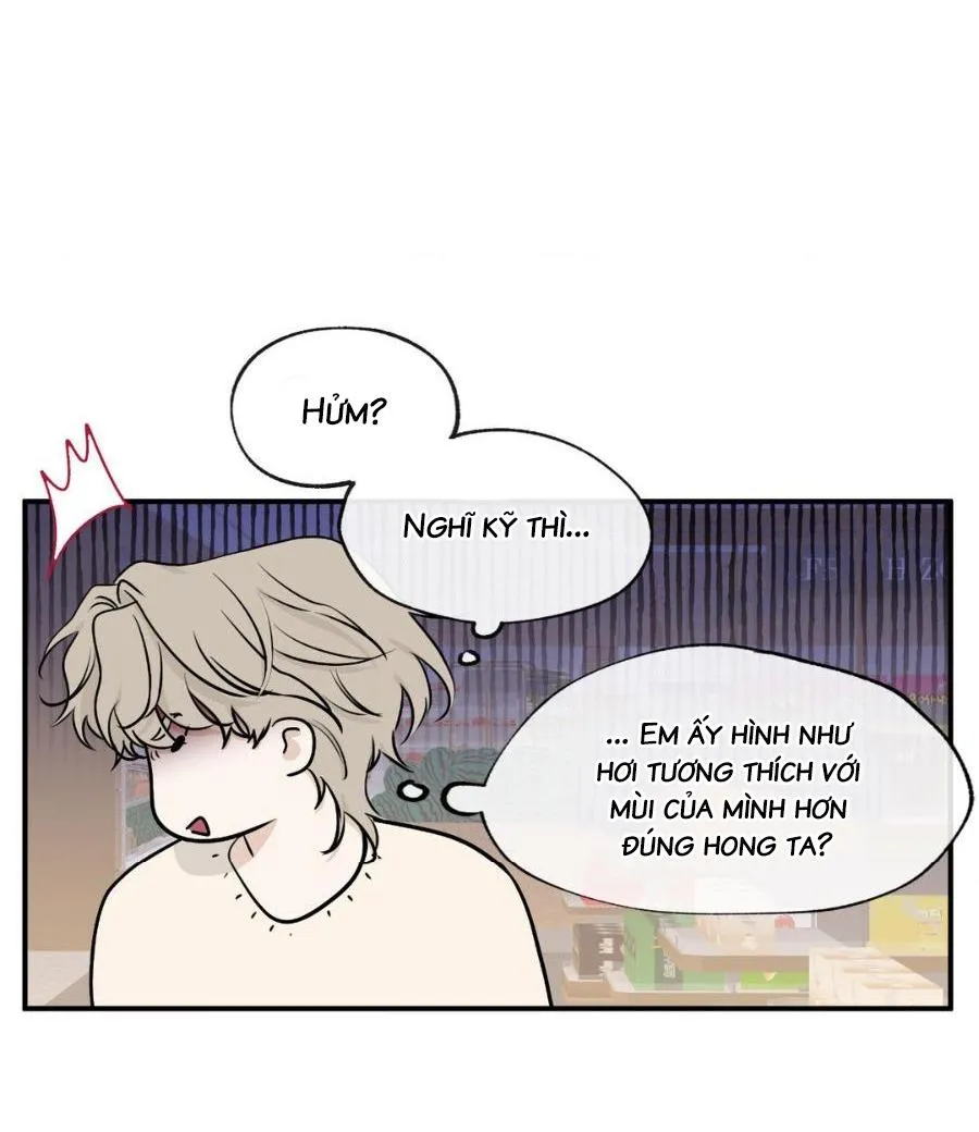 Thủy triều thấp lúc chạng vạng Chapter 68 Trang 9
