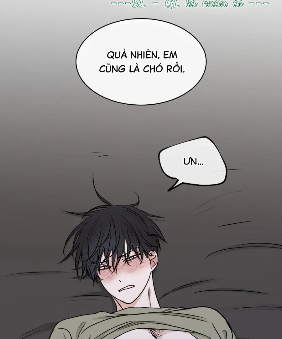 Thủy triều thấp lúc chạng vạng Chapter 68 Trang 47