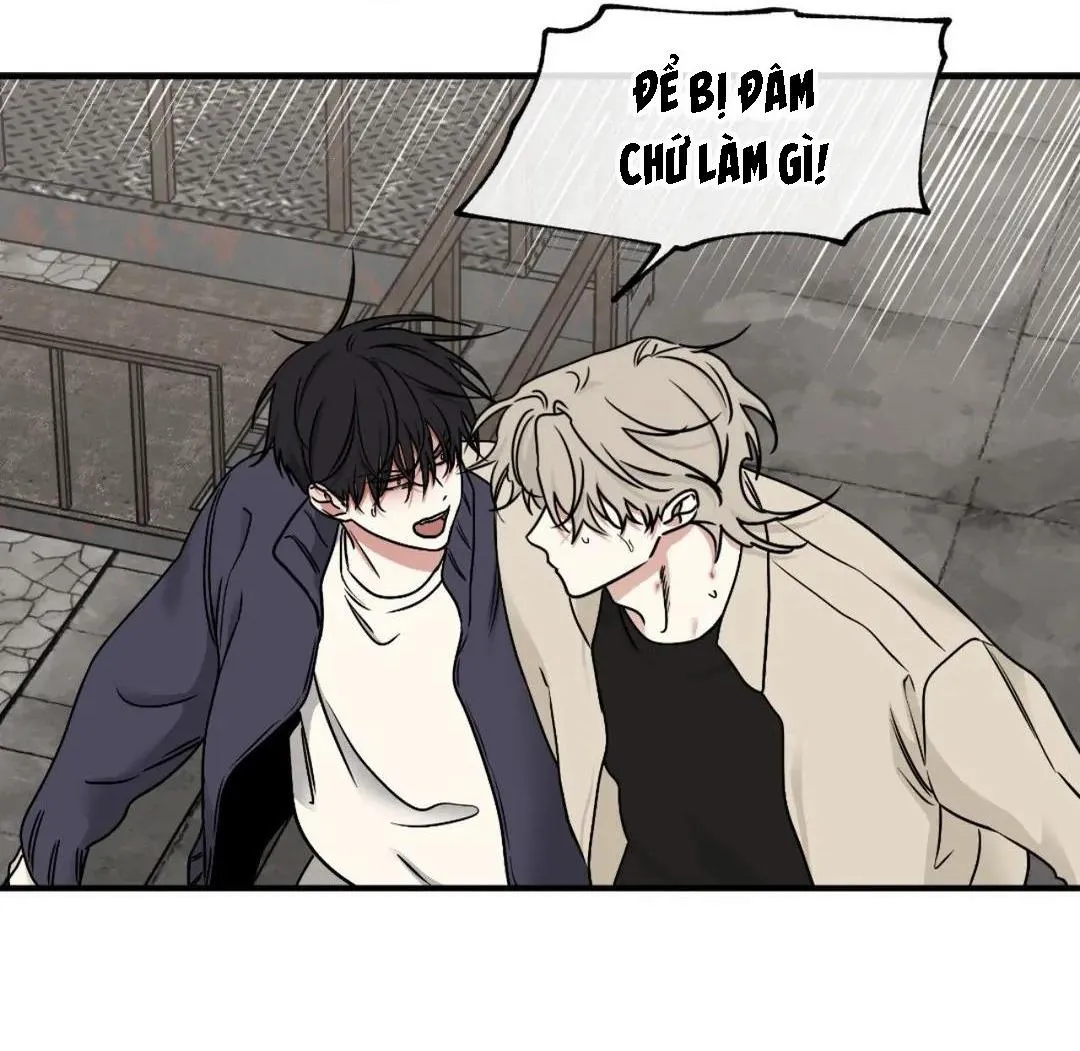 Thủy triều thấp lúc chạng vạng Chapter 95 Trang 23