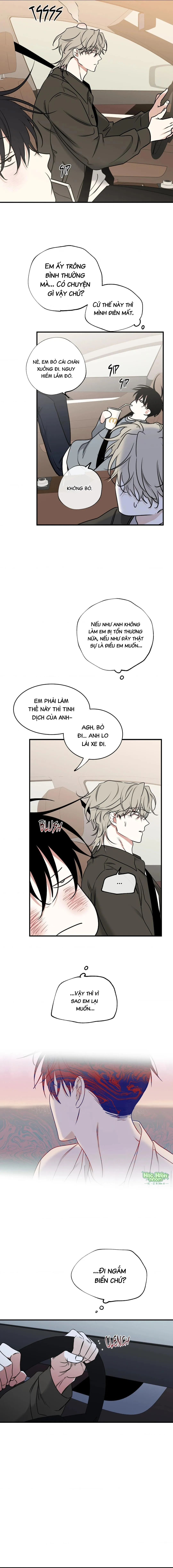 Thủy triều thấp lúc chạng vạng Chapter 101 Trang 15