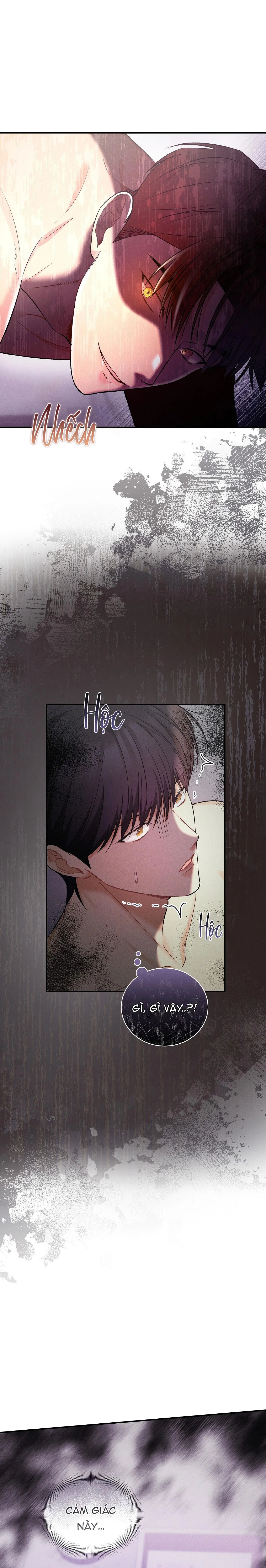 Thuyết nhập thực Chapter 21 Trang 14