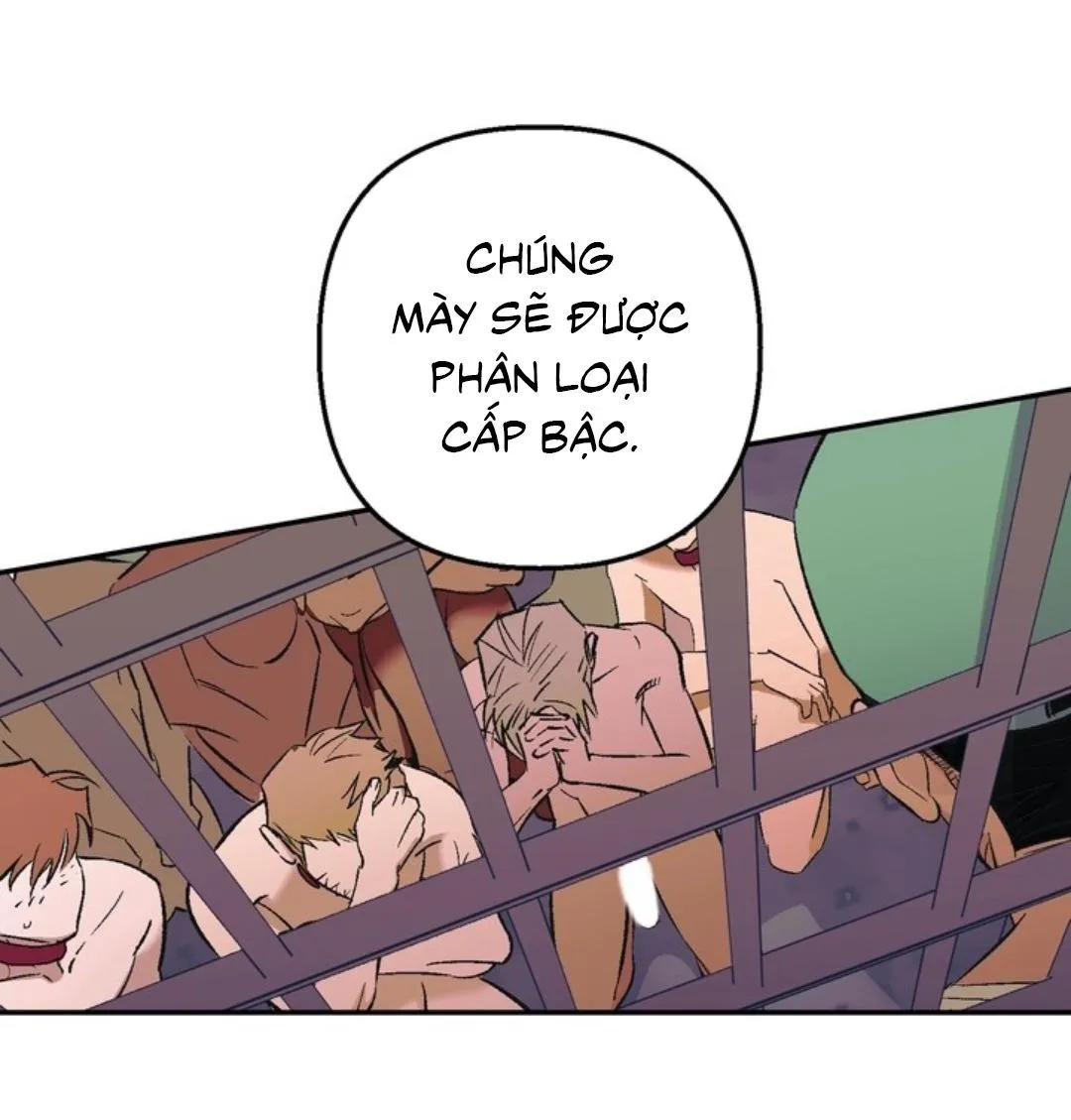 Tiệm bánh nóng bỏng và gợi cảm Chapter 14 Trang 19