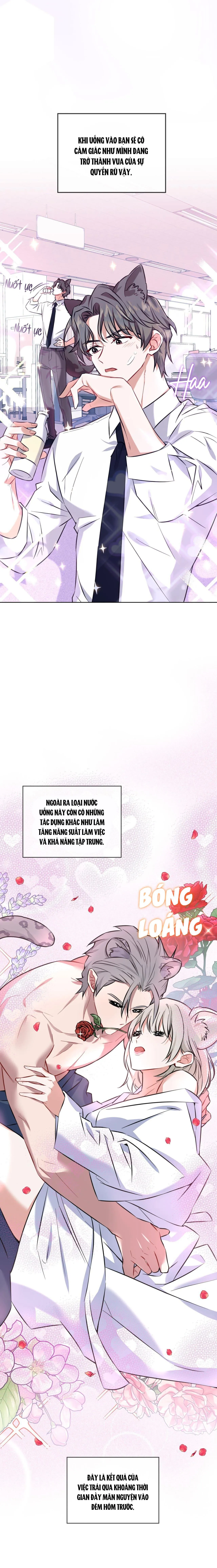 Drop TIỆM ĐỒ UỐNG CÁO NHỎ Chapter 1 Trang 13