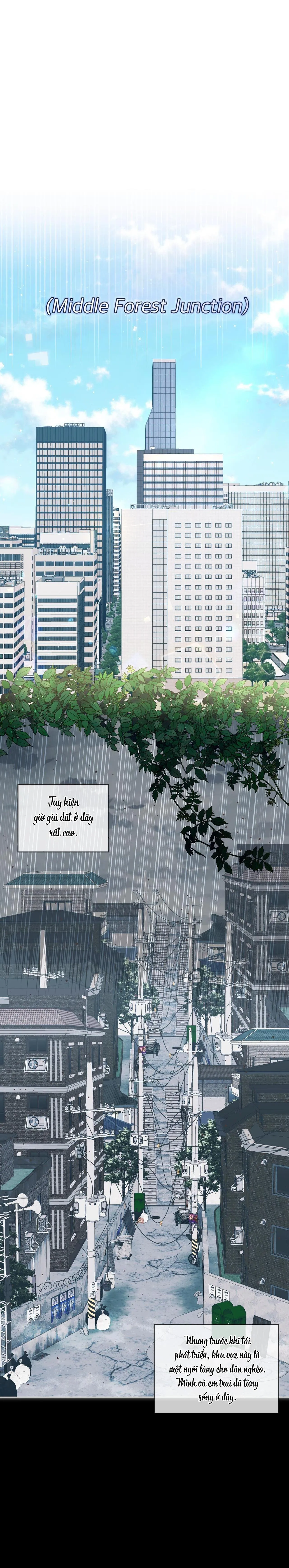 |DROP| Tiệm đồ uống của cáo Flynn Chapter 1 Trang 48