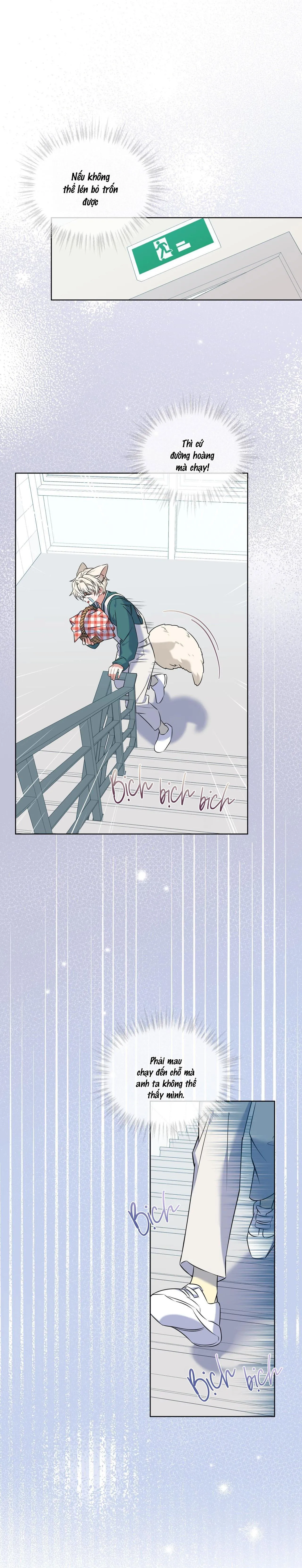 |DROP| Tiệm đồ uống của cáo Flynn Chapter 4 Trang 16