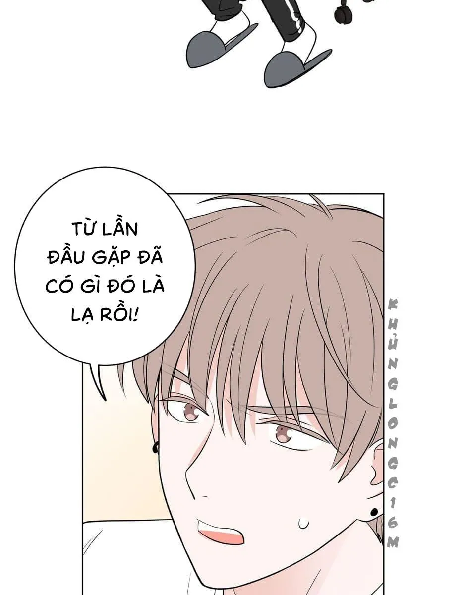 Tiền Bối, Chúng Ta Cần Nói Chuyện Chapter 4 Trang 5