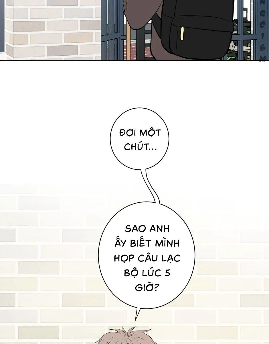 Tiền Bối, Chúng Ta Cần Nói Chuyện Chapter 5 Trang 34