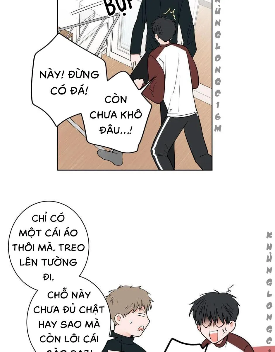 Tiền Bối, Chúng Ta Cần Nói Chuyện Chapter 8 Trang 5