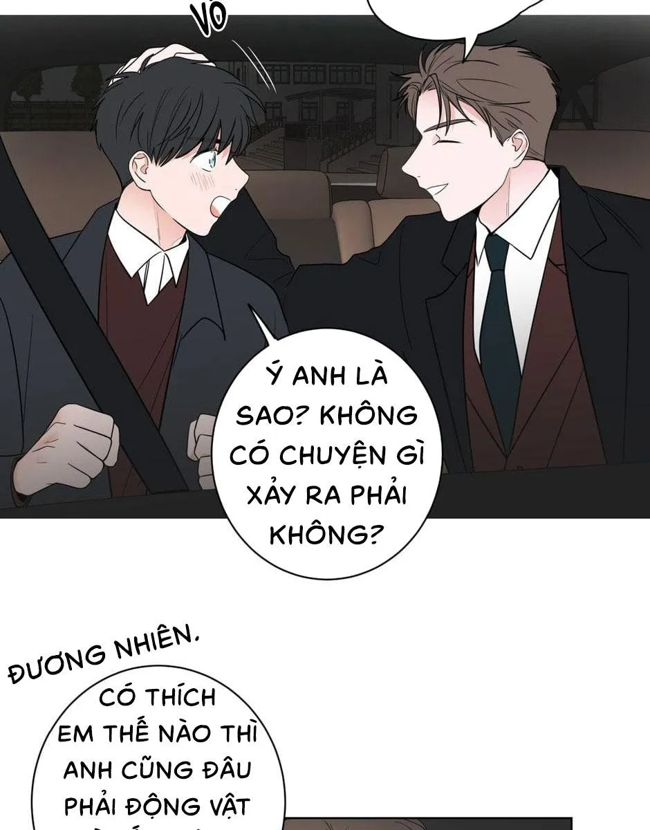 Tiền Bối, Chúng Ta Cần Nói Chuyện Chapter 12 Trang 3